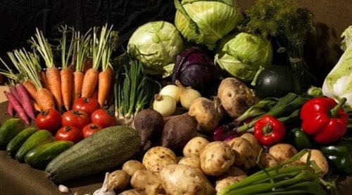 Хүнсний ногооны үр олгож байна